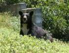 While out on a listing appointment in Oak View, Yucaipa I came across this local resident