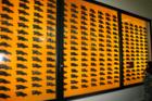 Wall of some 400 Dire Wolf skulls, a fraction of those collected from the La Brea Tar Pits.  Lots of mammals had very bad days here.