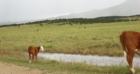 Don't get left behind - La Veta