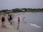 Chatham beach - seal watching
