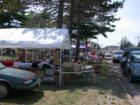Street scene at the 2007 Blueberry Festival in Iron River, Wisconsin