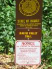 Entrance to the Makiki Valley Trail off of Tantalus Drive.  This is one of numerous trailheads that can be entered from Tantalus Drive.  Notice the warning about the hunters being on the trail.  The pigs they are talking about are the wild boar.