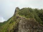 See the tourist climbing up the Ko'olau Mountain from the Pali lookout?  I will probably be reading about this idiot in tomorrows newspaper.  