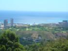 This is a view of Punchbowl Veterans Cemetery on Oahu.  The cemetery is in the areas where you see the green trees.  In the distance you can see a cruise ship that has docked in Honolulu.  