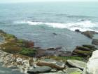 Beavertail State Park