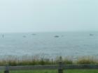 Beavertail State Park