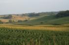 The Loess Hills near Pisgah Iowa