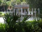 Along the Hillsborough River... it's so beautiful!