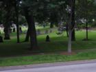 Old cemetery in the market square neighborhood.