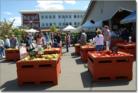 Olympia Farmers Market