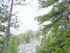 Some of the millions of rocks left after carving the granite mountain for Mount Rushmore.