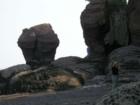 Ar118596750230376_l