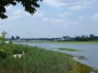 Summertime View of Guilford Yacht Club from Chaffinch Island Park