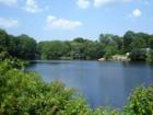 Guilford Lakes - Northern View