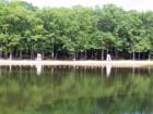 Wharton Brook State Park