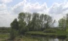 The natural setting of Chominix Golf Course in Lino Lakes, Minnesota.