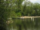 Fishing anyone?  Lake Peltier in Lino Lakes Minnesota