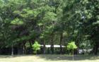 Picnic Anyone?  Nice place to relax and enjoy life - Lino Lakes Minnesota