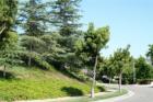 La Mirada Community Photo