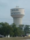 Seguin water tower