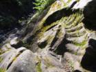Large Fossil imprint in Rock near Fernie, British Columbia