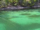 Silver Springs Lake - Elko, British Columbia