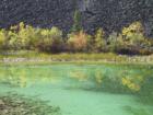 Silver Springs Lake - Elko, British Columbia