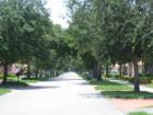 Miami Lakes - Trash pick-up day!  