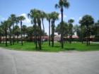 Miami Lakes