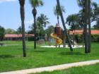 Miami Lakes