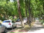Miami Lakes