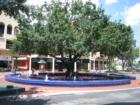 Miami Lakes - Main Street