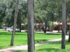 Miami Lakes