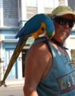 Local color on the main street of town!