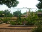 Rose Garden maintained by the Albuquerque Rose Society and located at the Wyoming Library. 