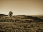 Early Morning Balloon Fligh