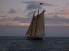 Majestic Key West Cutter Shot