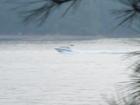 Lake Lanier at Browns Bridge in Hall County! Teresa Johnson & Associates; RE/MAX Greater Atlanta; Serving the Metro Area of Atlanta,GA http://www.AtlantaHomeStore.com; (770) 888-0021;  TeresaJohnson@remax.net
      
      