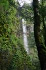 Viewpoint along the crest trail at Multnoman Falls.