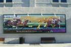 This is a mural on the side of Buds. This was painted to show support for the proposed Dixon Downs race track that was voted down.