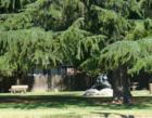 Here's the Woman's Improvement Park on Highway 113 near down town Dixon.
