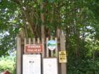 The linear park trail