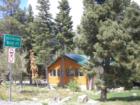A Camping Area near Mt Charleston