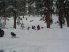 The designated sledding area close to Lee Canyon