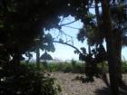 LowderMilk Park in Naples