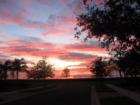 Bonita Sunset