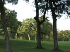 Hilltop Lakes, Normangee, Texas