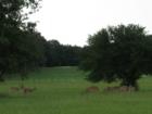 Hilltop Lakes, Normangee, Texas
