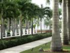This is the pathway of fountains going to the resort pools and spa in Buena Vida Community in Wellington Florida
      