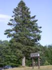 Little Sand Bay marker, Apostle Islands National Lakeshore